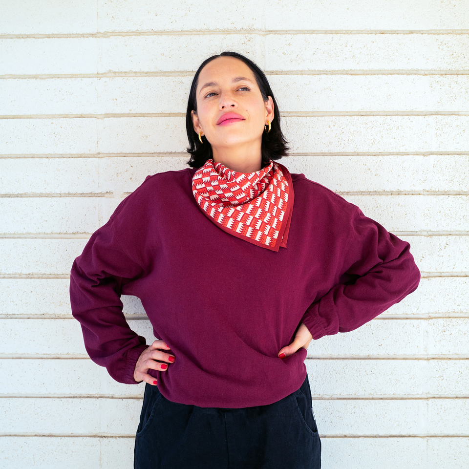 Cranberry Jigsaw Bandana