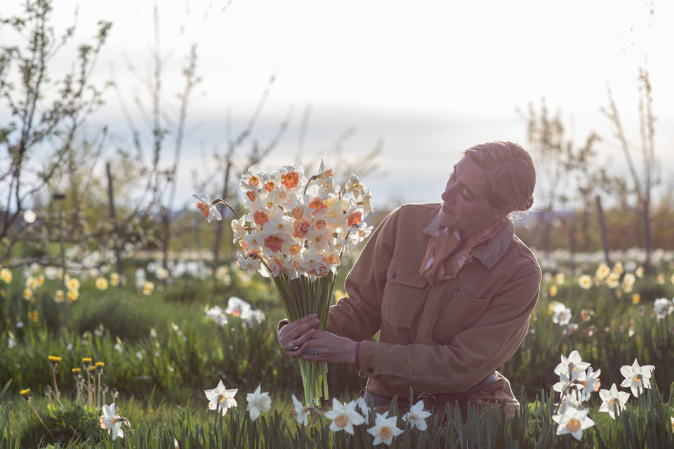 Cosmos Square Scarf | Floret Collection