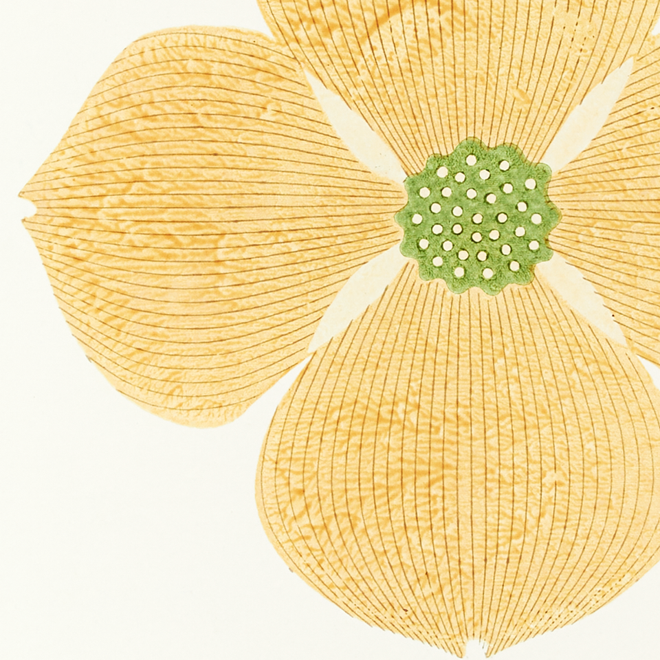 Dogwood | White | Woodblock Print