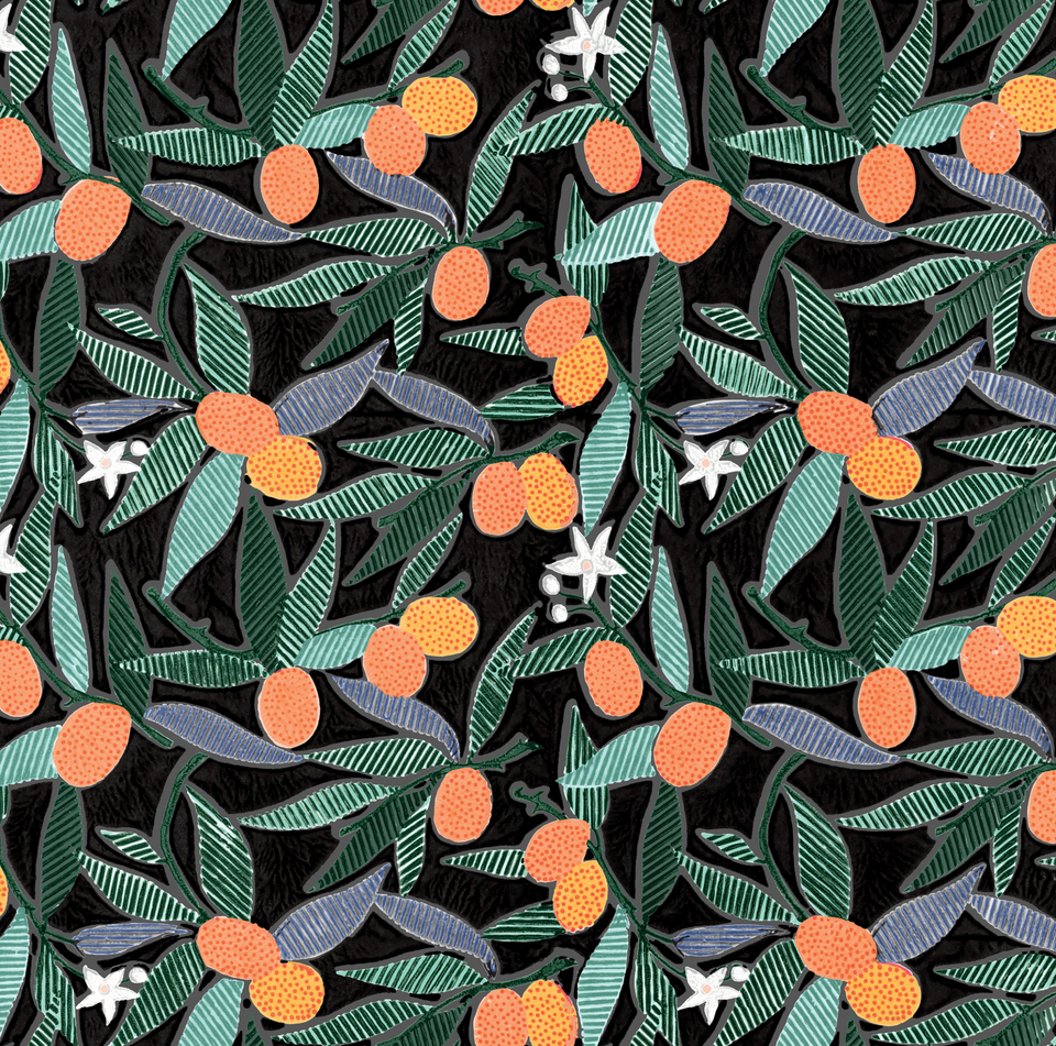 Kumquats | Tango | Small Sample