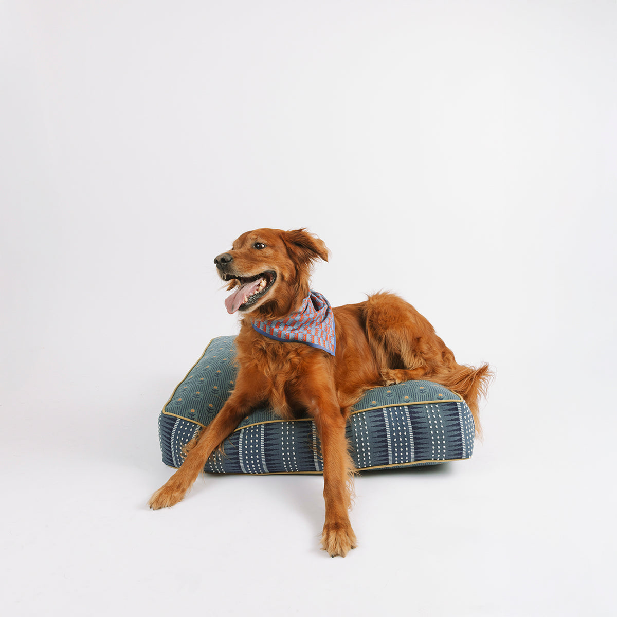 Dusk Dog Bed