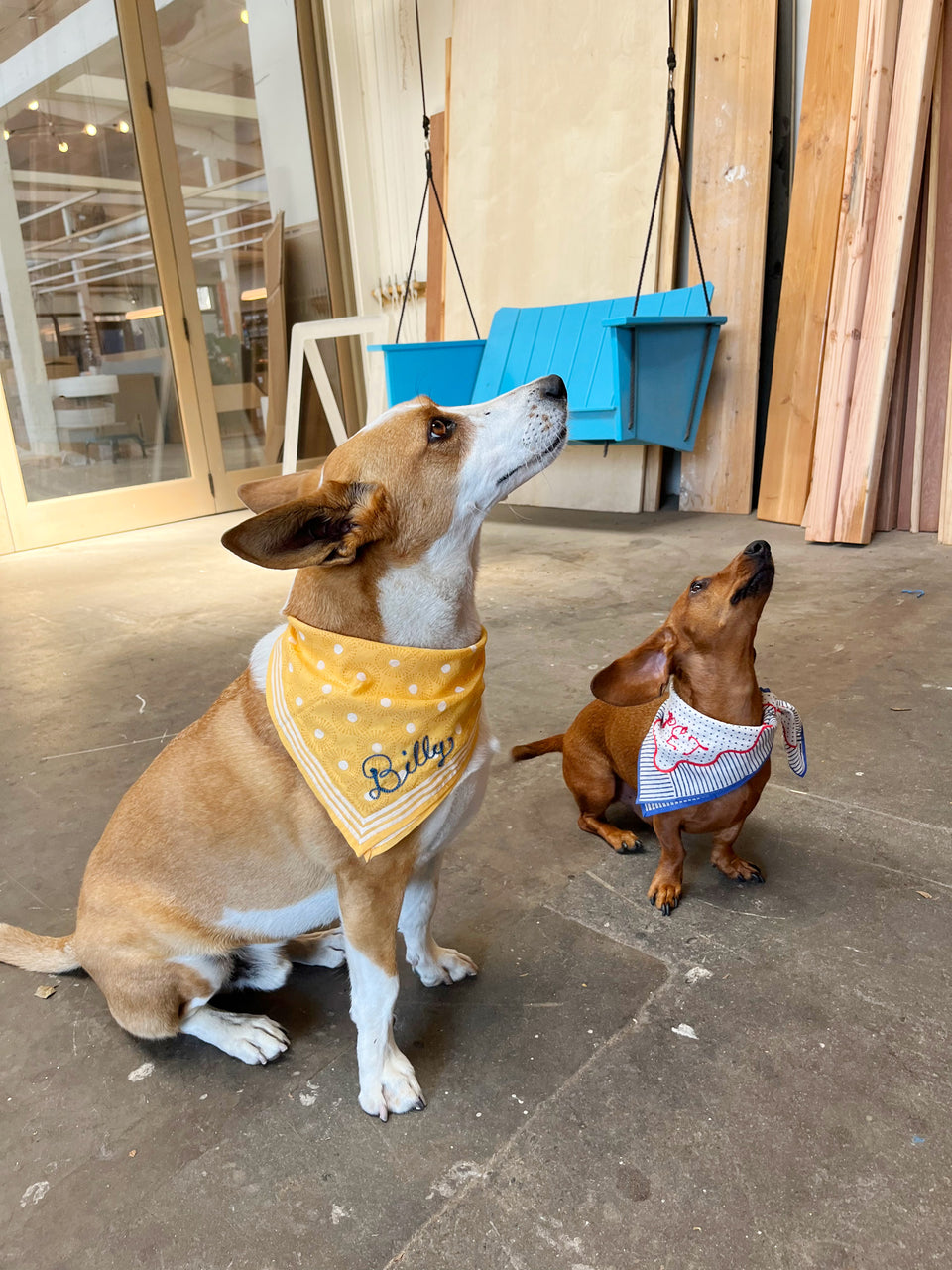 Goldenrod Bandana