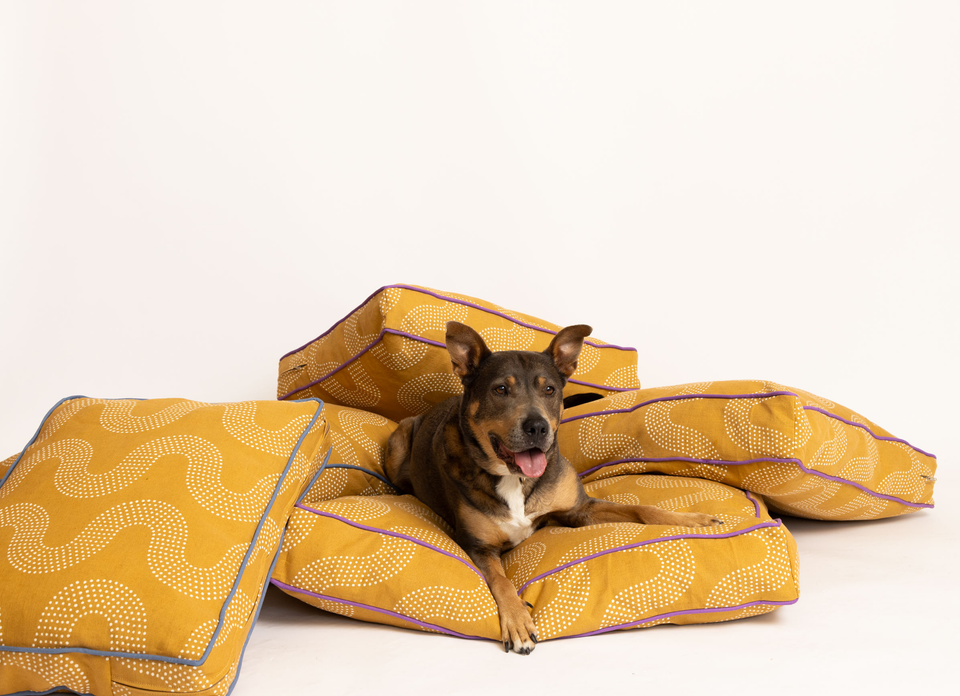 Mustard dog bed online