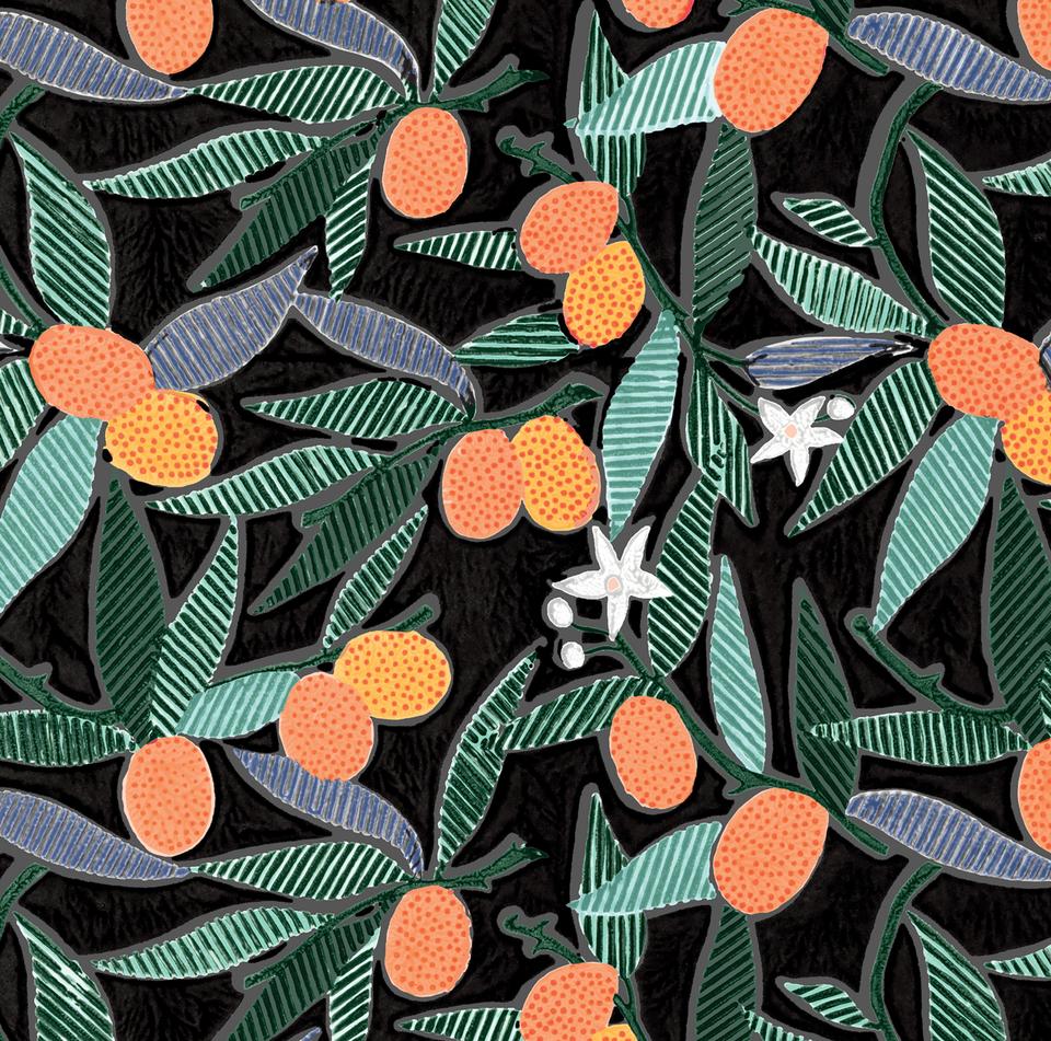 Kumquats | Tango | Large Sample - PRE-ORDER