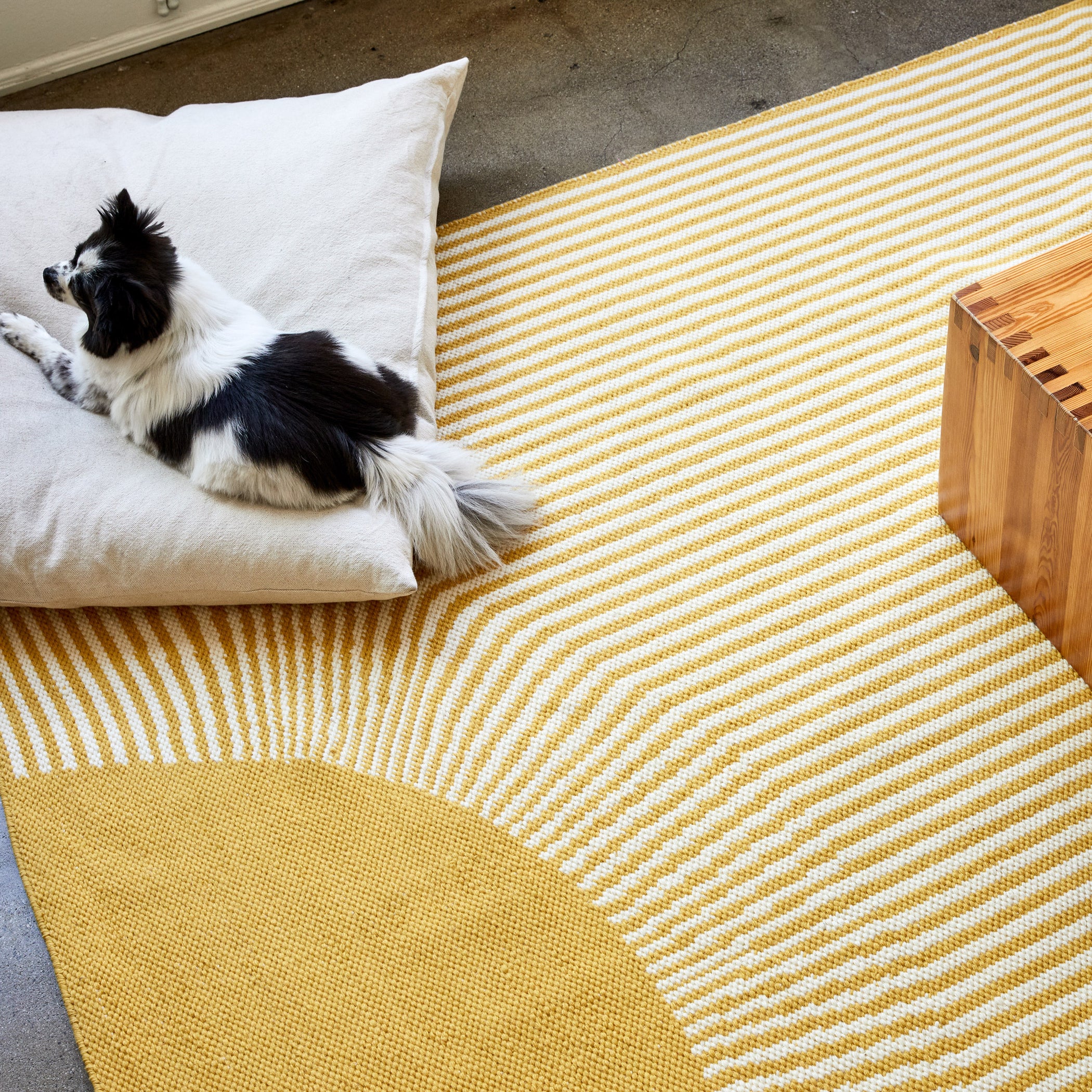 Rugs – Block Shop