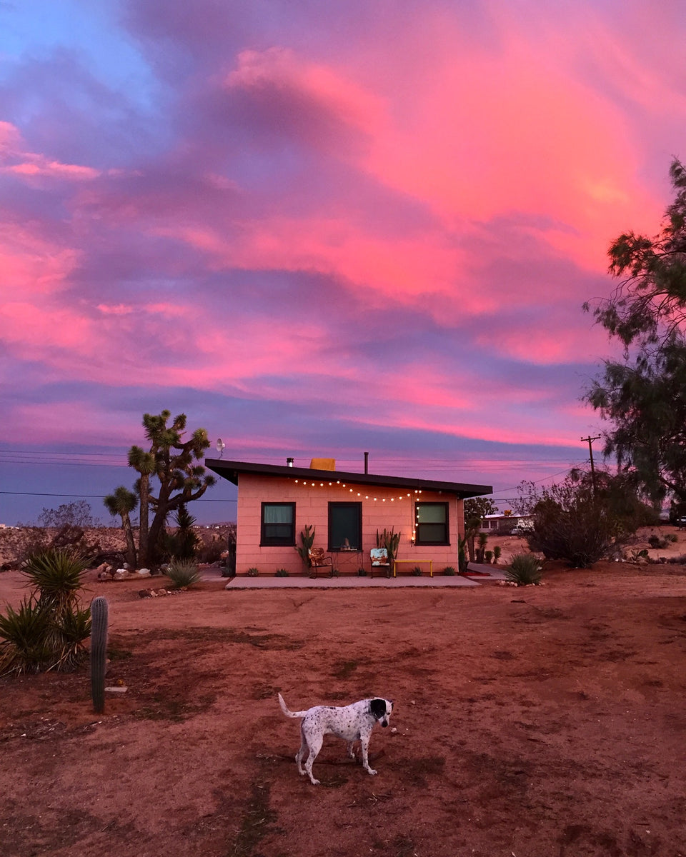 JOSHUA TREE IMMERSIVE WORKSHOP: APRIL 4 & 5